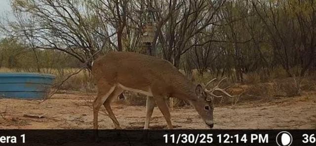 53.6 acres in Scurry County - photo 10