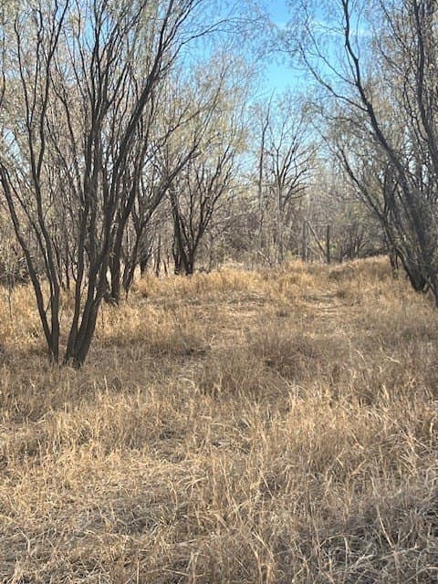 53.6 acres in Scurry County - photo 7
