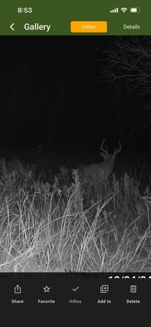 53.6 acres in Scurry County - photo 13