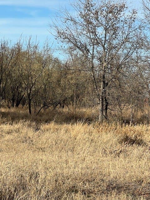 53.6 acres in Scurry County - photo 6