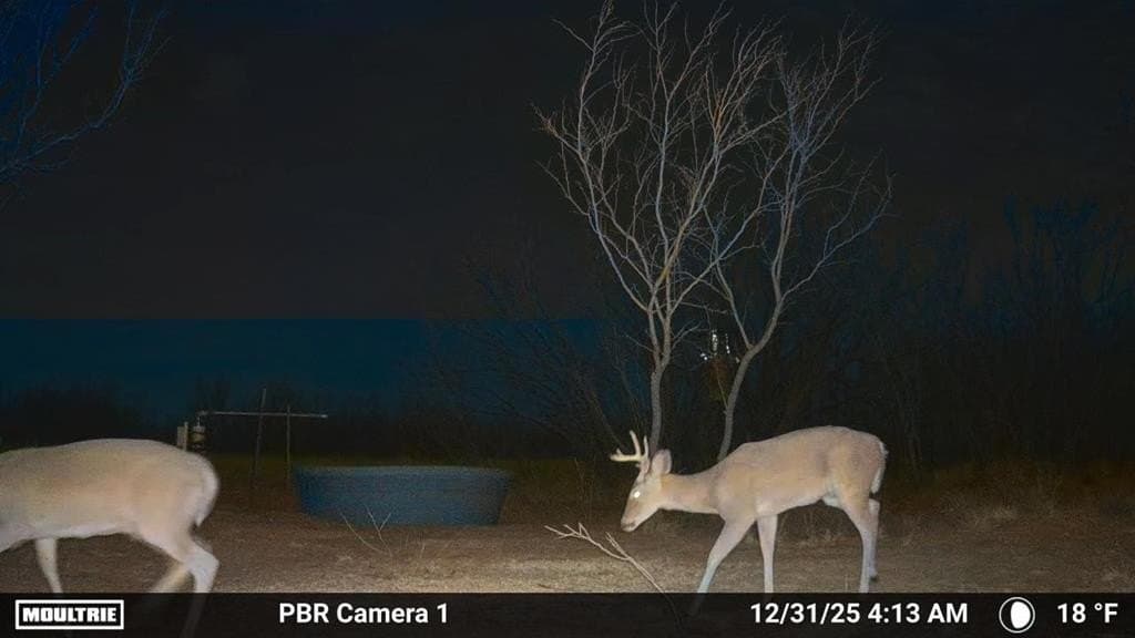53.6 acres in Scurry County - photo 11