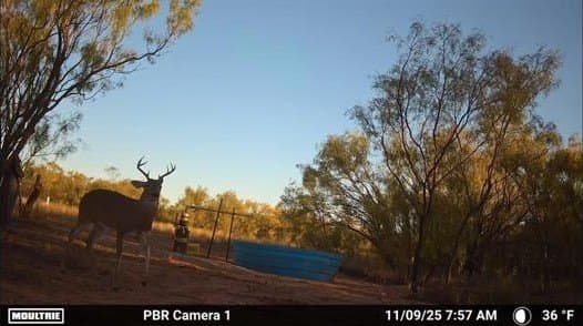 53.6 acres in Scurry County - photo 14