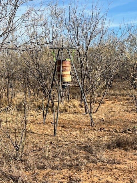 53.6 acres in Scurry County - photo 5