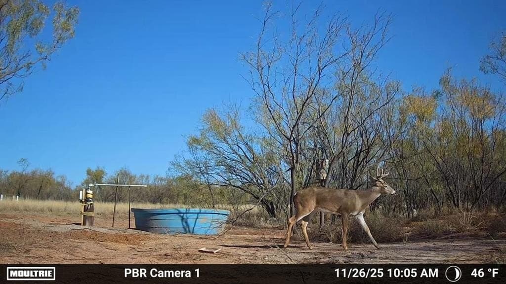 53.6 acres in Scurry County - photo 9