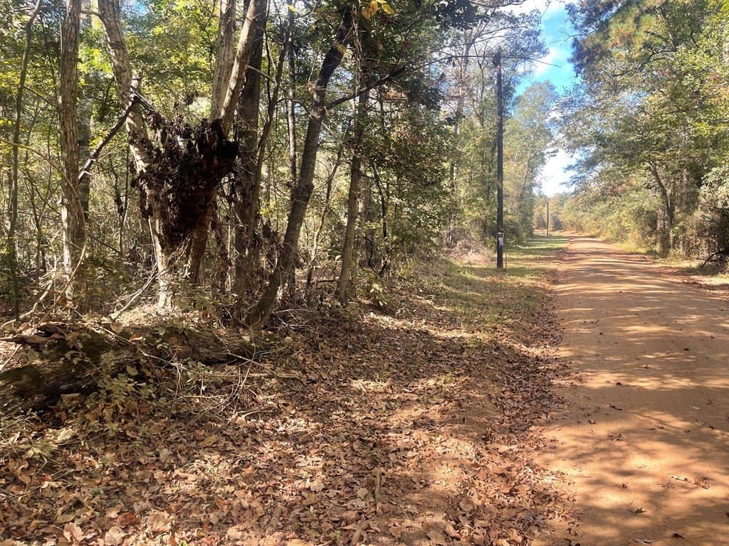 20.4 acres in Texas County - photo 9