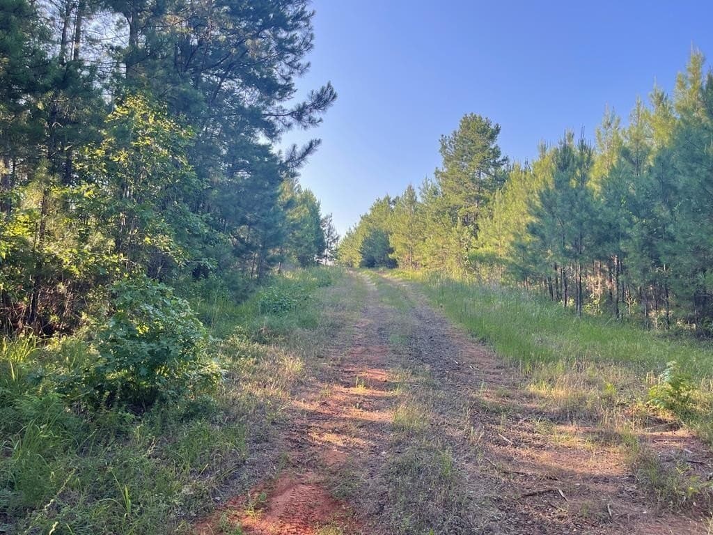 20.4 acres in Texas County - photo 5