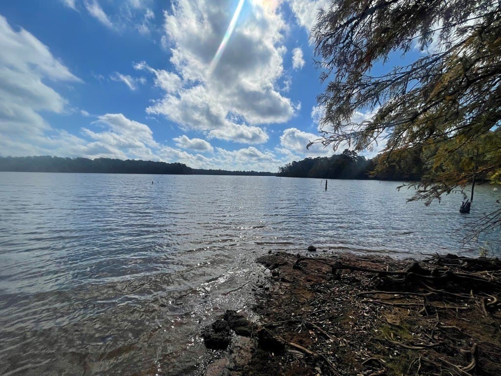 20.4 acres in Texas County - photo 4
