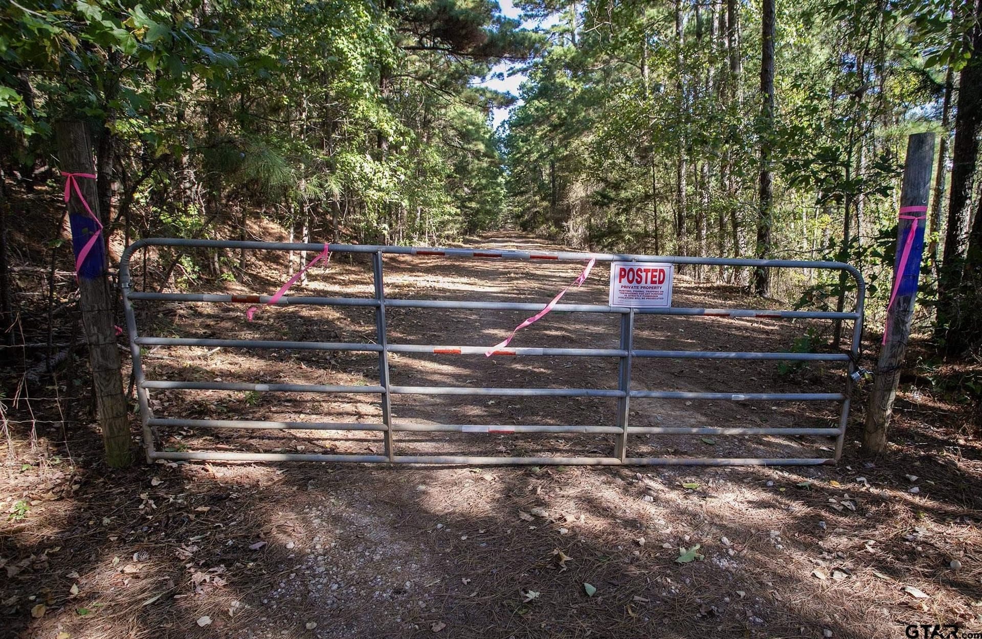 25.5 acres in Henderson County - photo 13