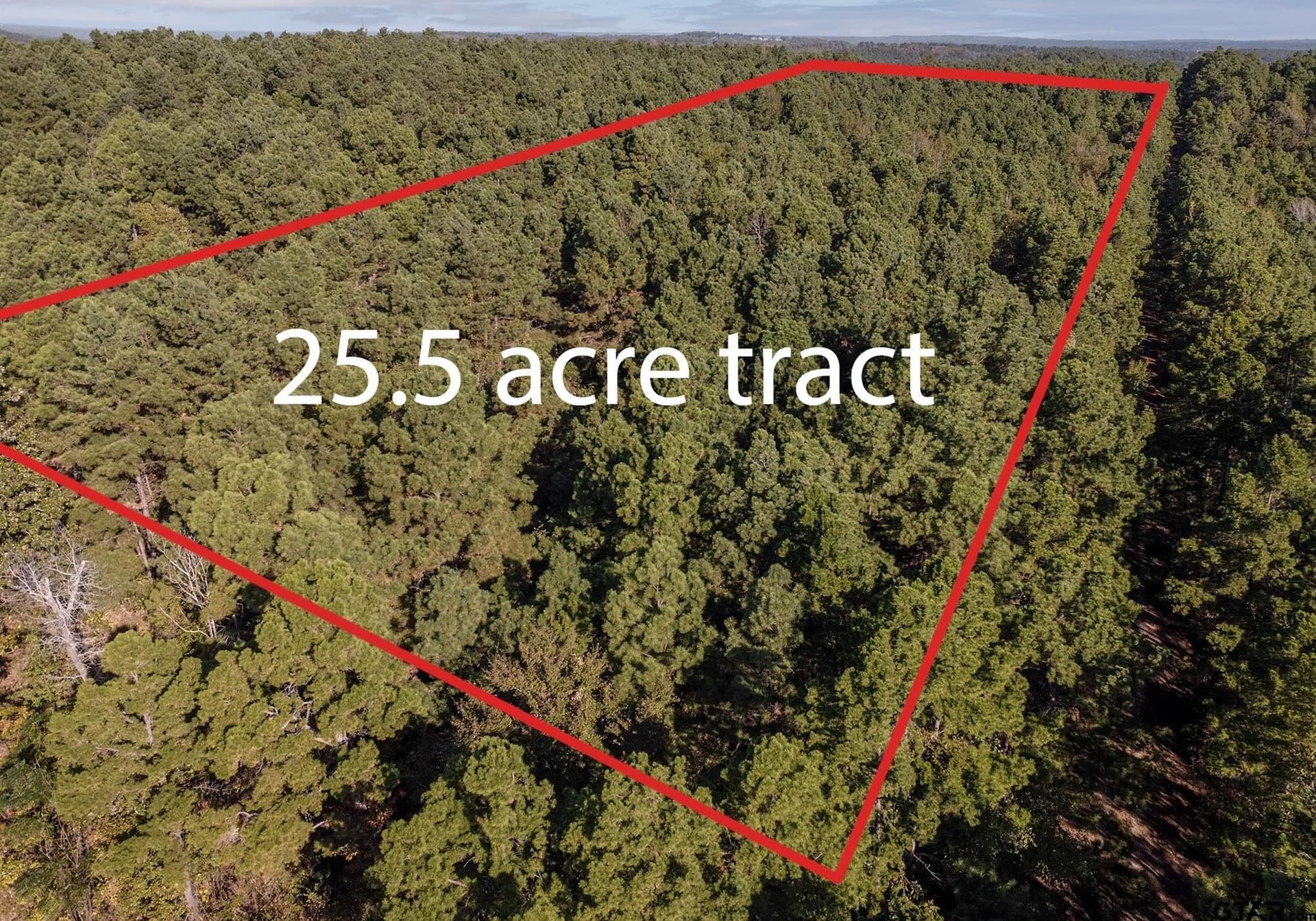 25.5 acres in Henderson County - photo 5