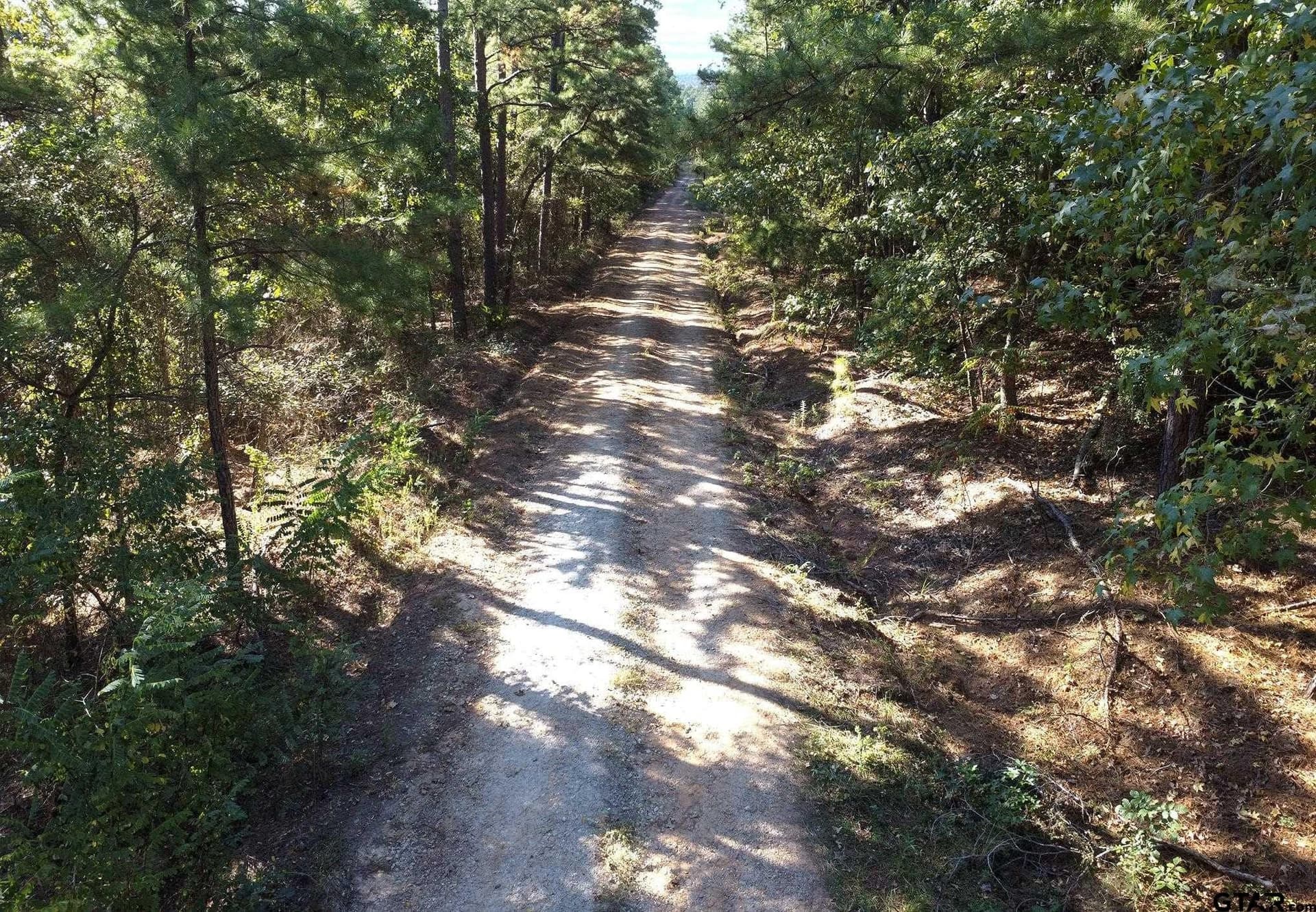 25.5 acres in Henderson County - photo 8