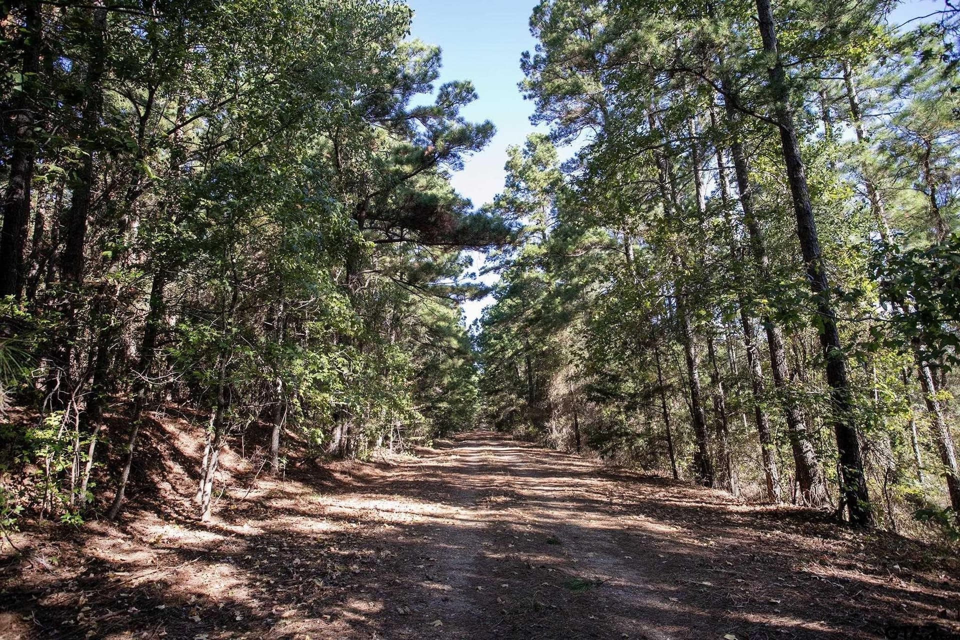 25.5 acres in Henderson County - photo 12