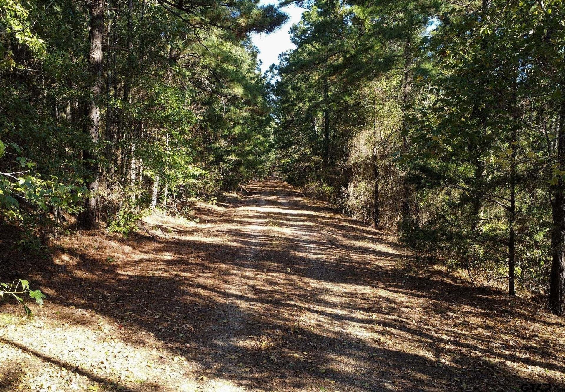 25.5 acres in Henderson County - photo 9