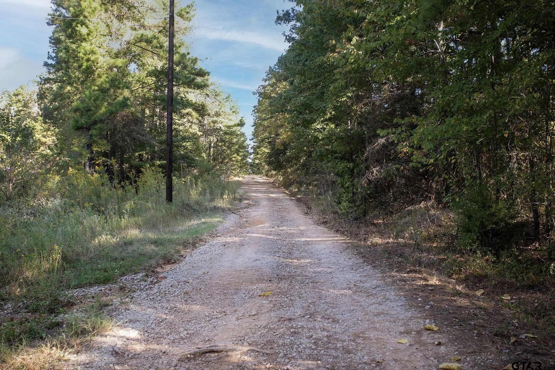 25.5 acres in Henderson County - photo 11