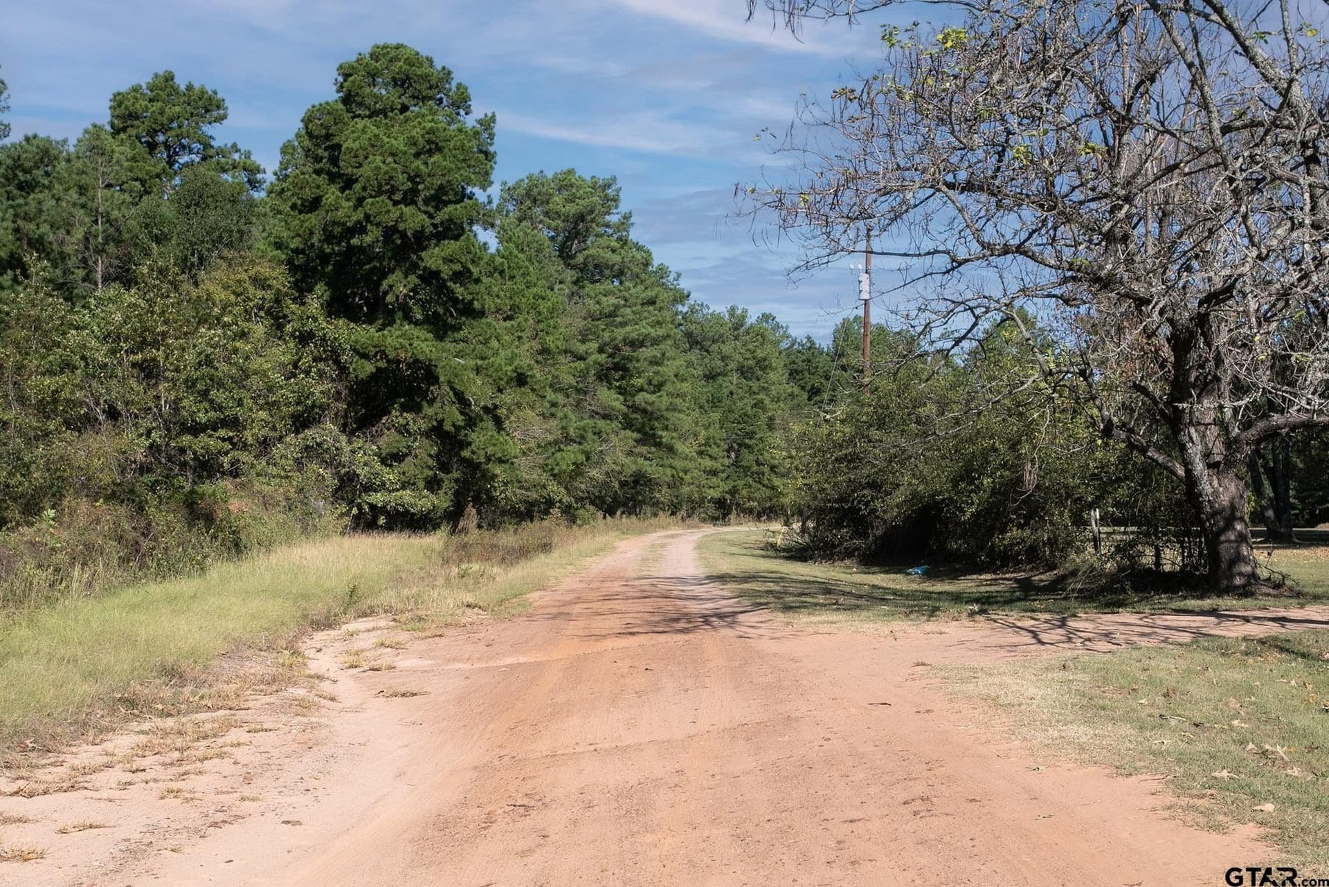 25.5 acres in Henderson County - photo 10