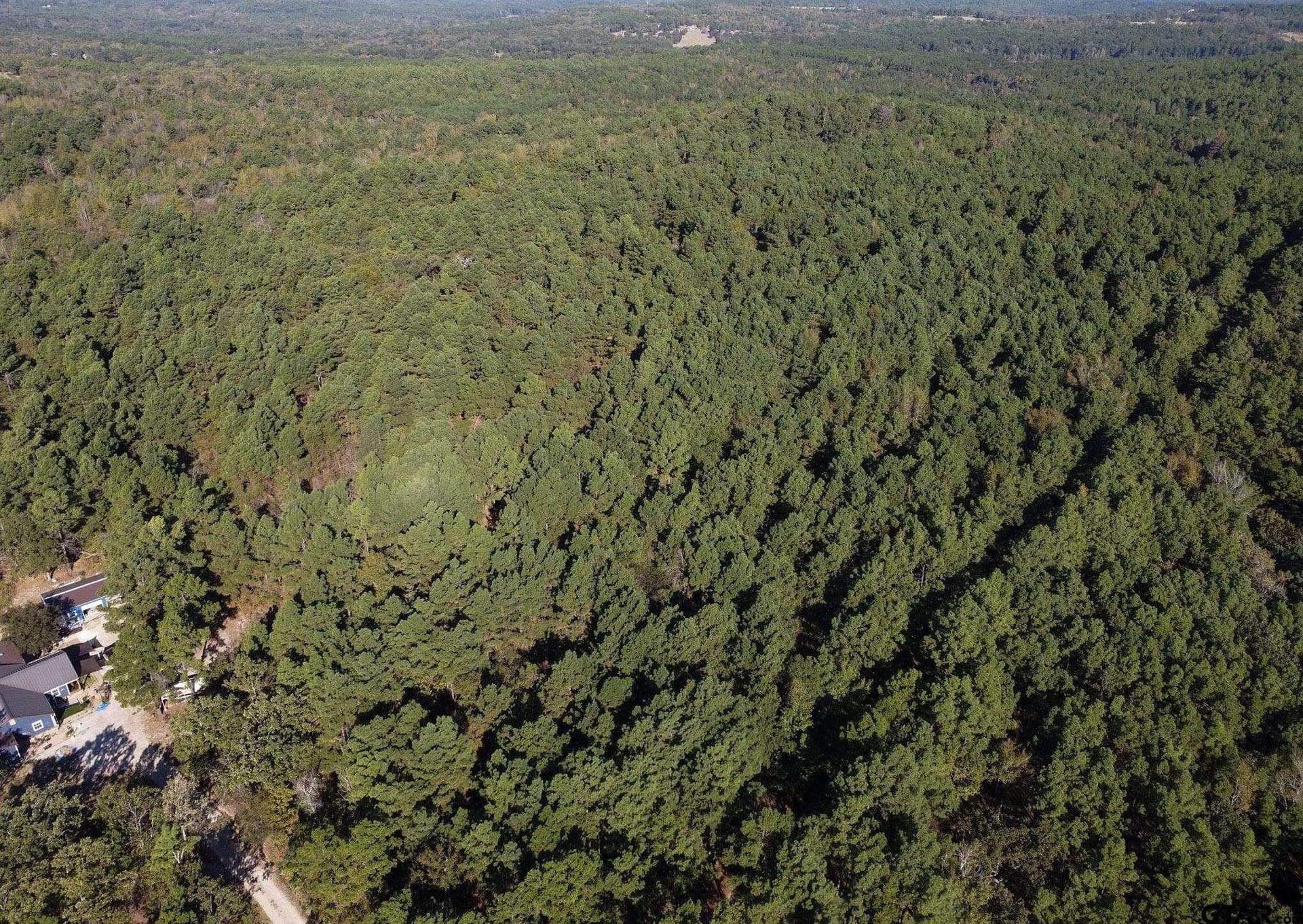 25.5 acres in Henderson County - photo 7