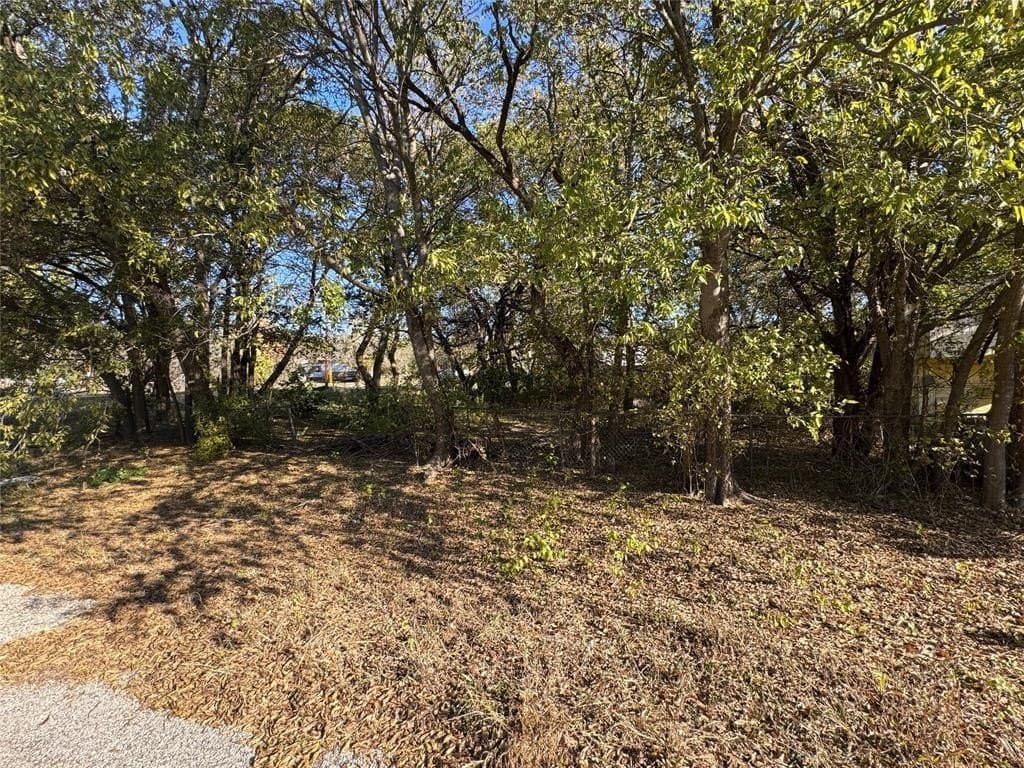0.13 acres in Hood County - photo 2