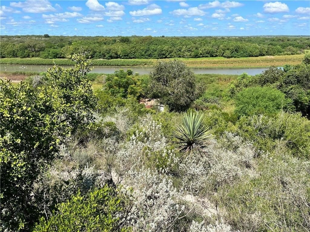 1.11 acres in Live Oak County - photo 6