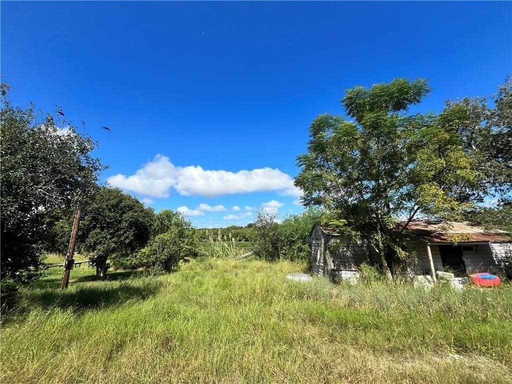 1.11 acres in Live Oak County - photo 2