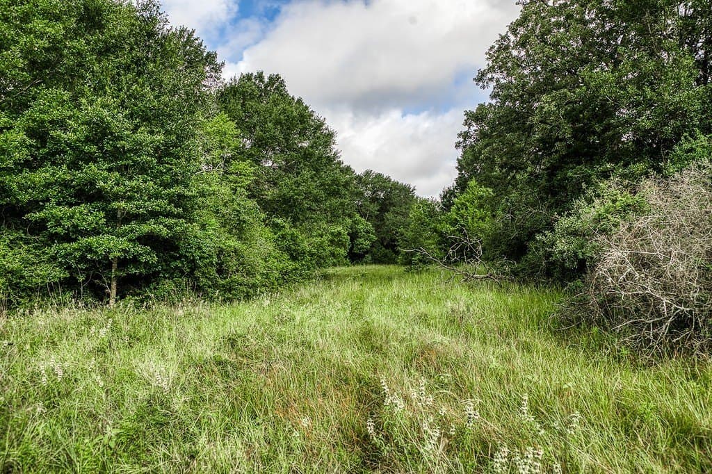 12.8 acres in Fayette County - photo 14