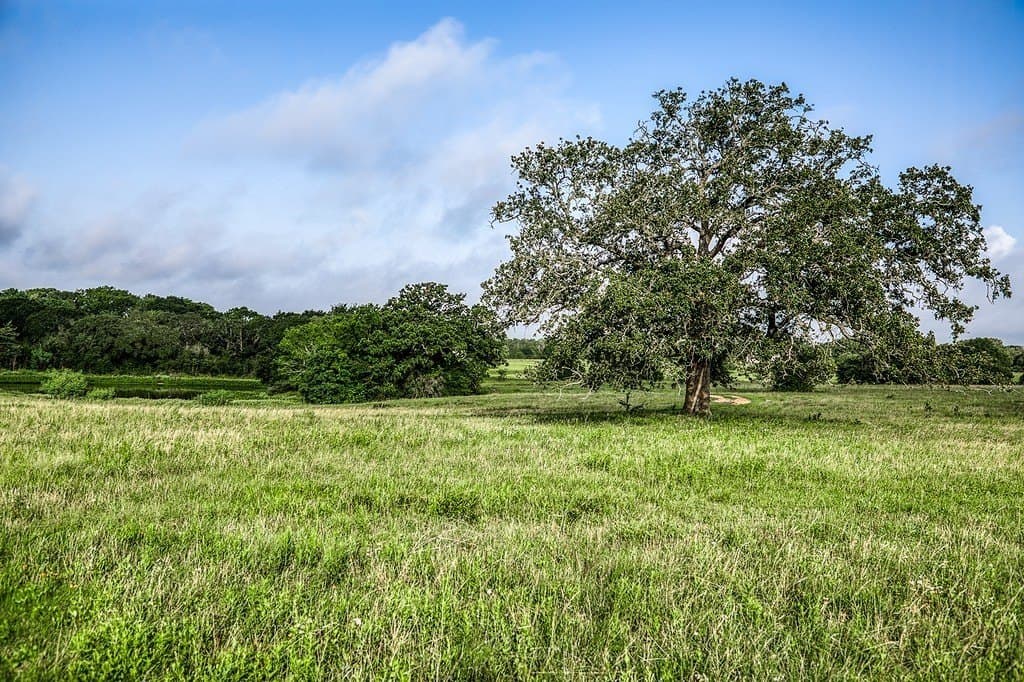 12.8 acres in Fayette County - photo 2