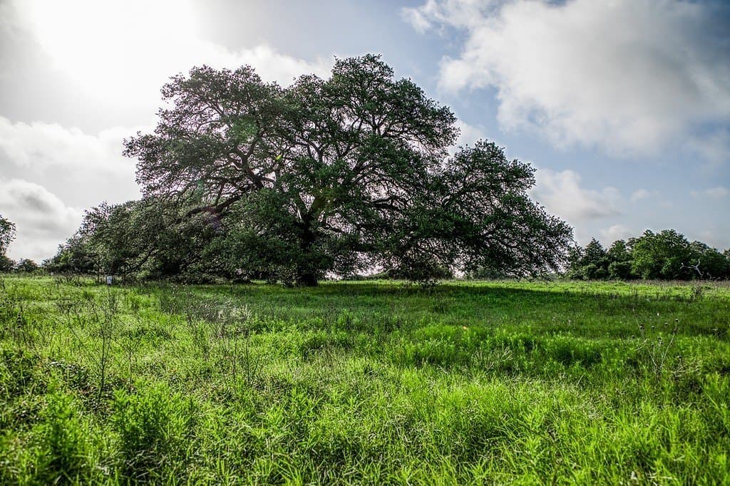12.8 acres in Fayette County - photo 7