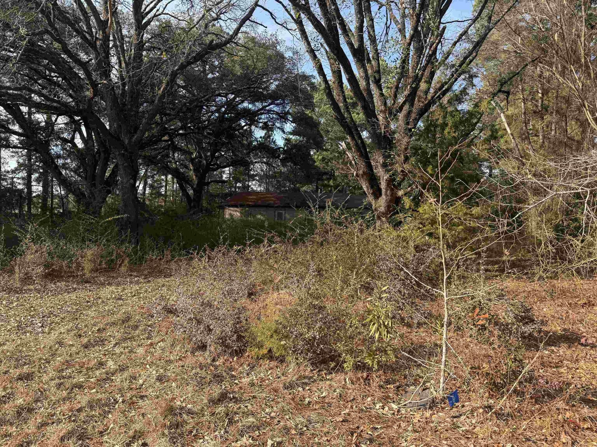 2.27 acres in Texas County - photo 4
