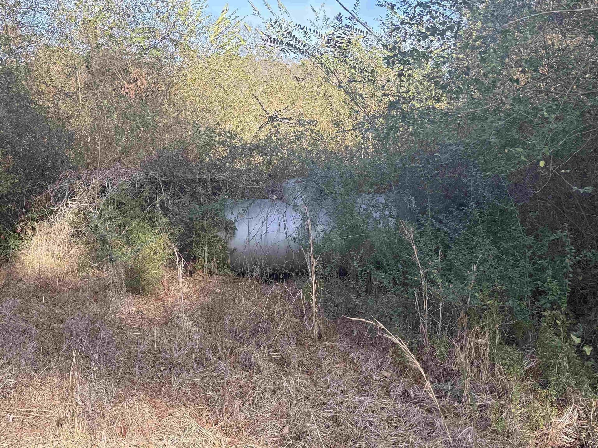 2.27 acres in Texas County - photo 7