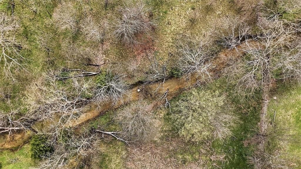 1.7 acres in Grayson County - photo 24