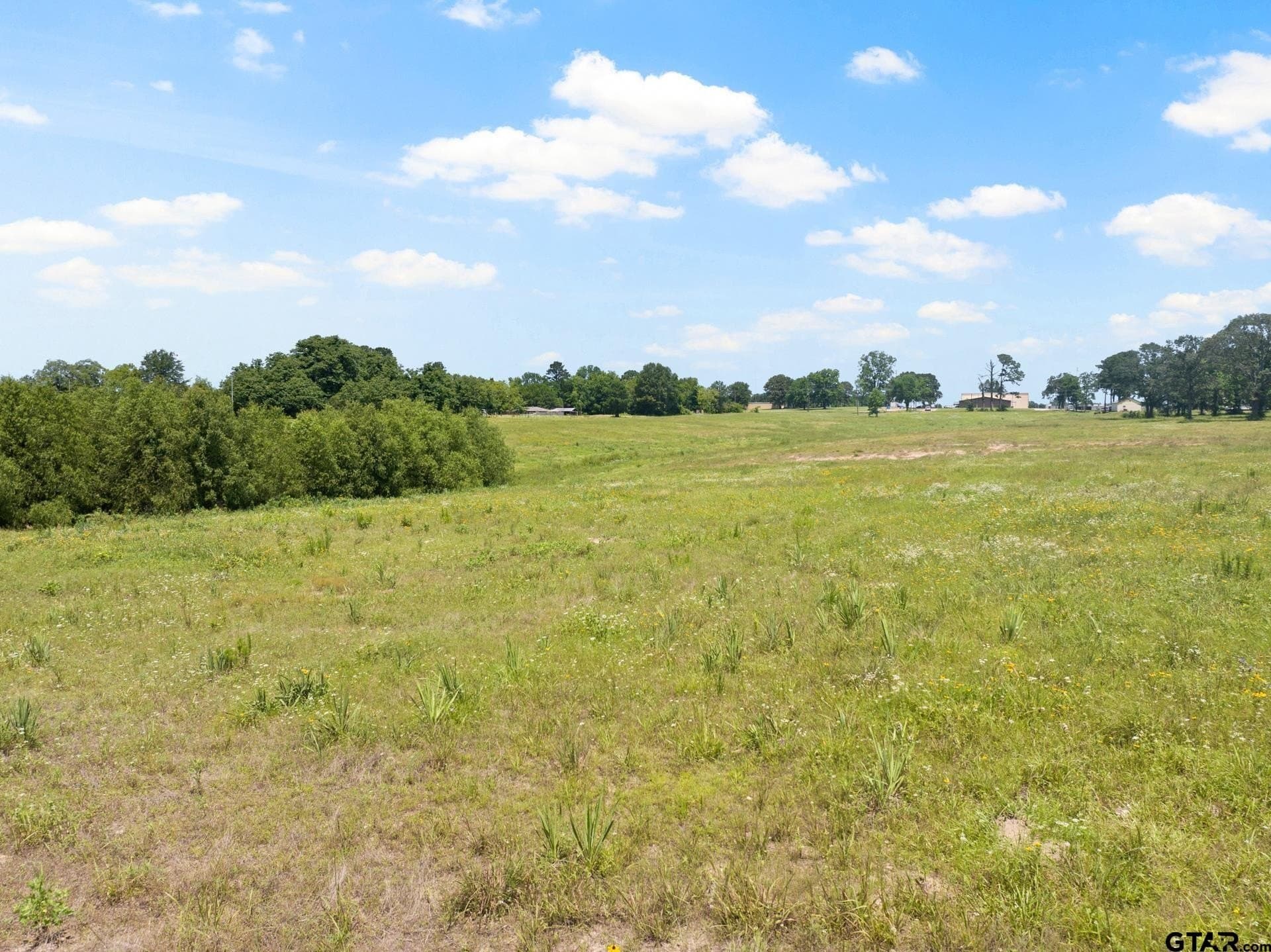 23.22 acres in Titus County - photo 19