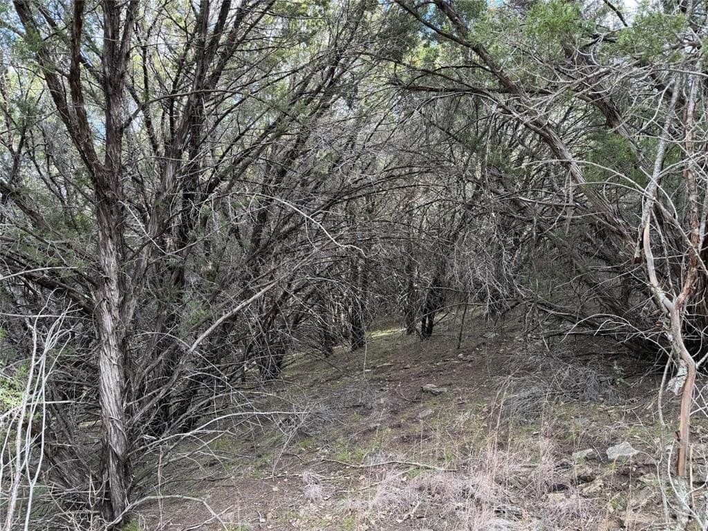 2.01 acres in Palo Pinto County - photo 3