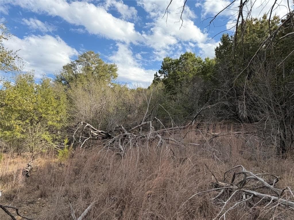 2.01 acres in Palo Pinto County - photo 6