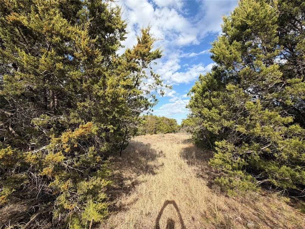 2.01 acres in Palo Pinto County - photo 11