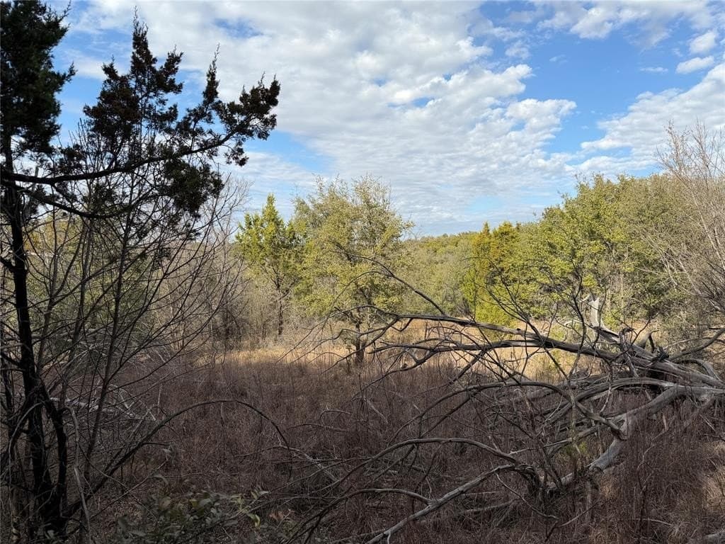 2.01 acres in Palo Pinto County - photo 7