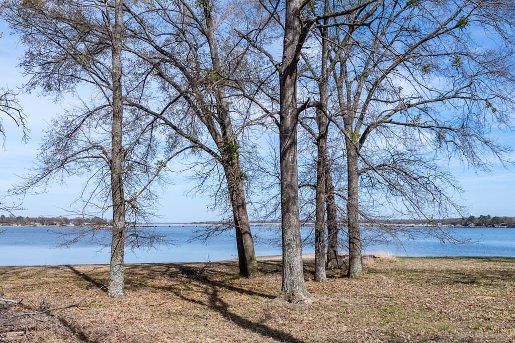 1.62 acres in Henderson County - photo 14