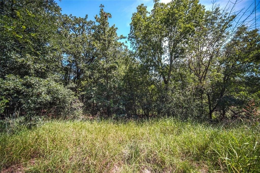 0.21 acres in Wise County - photo 3