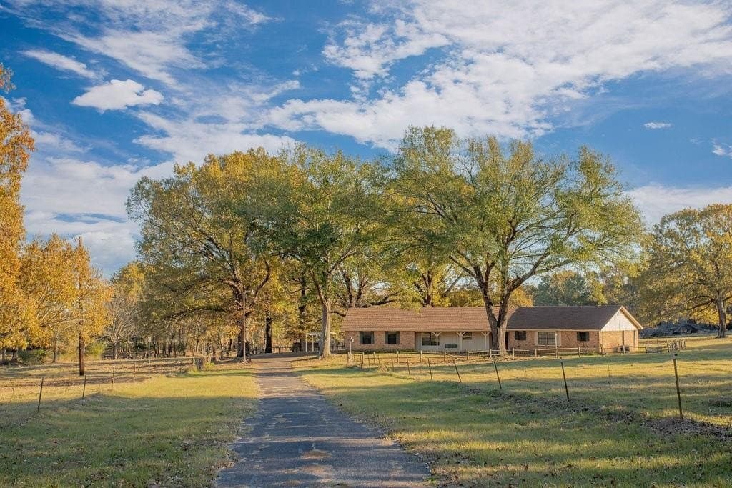 19.55 acres in Smith County - photo 5
