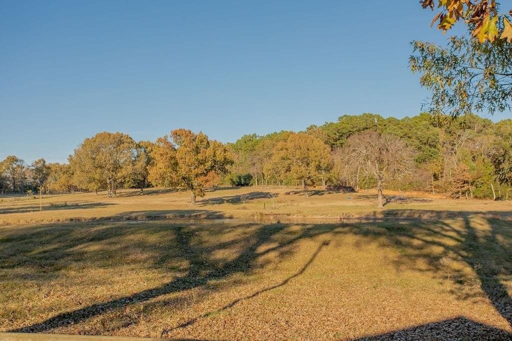 19.55 acres in Smith County - photo 6