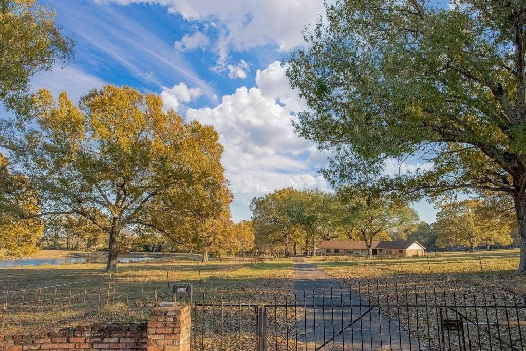 19.55 acres in Smith County - photo 4