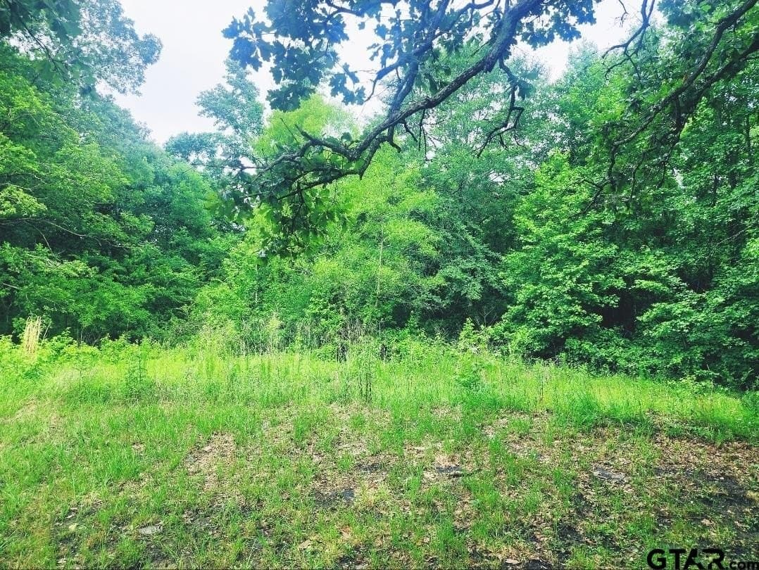 1 acres in Harrison County - photo 3