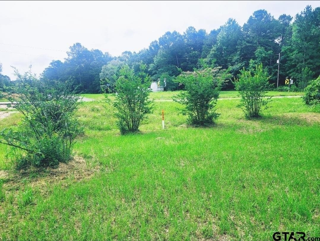 1 acres in Harrison County - photo 2