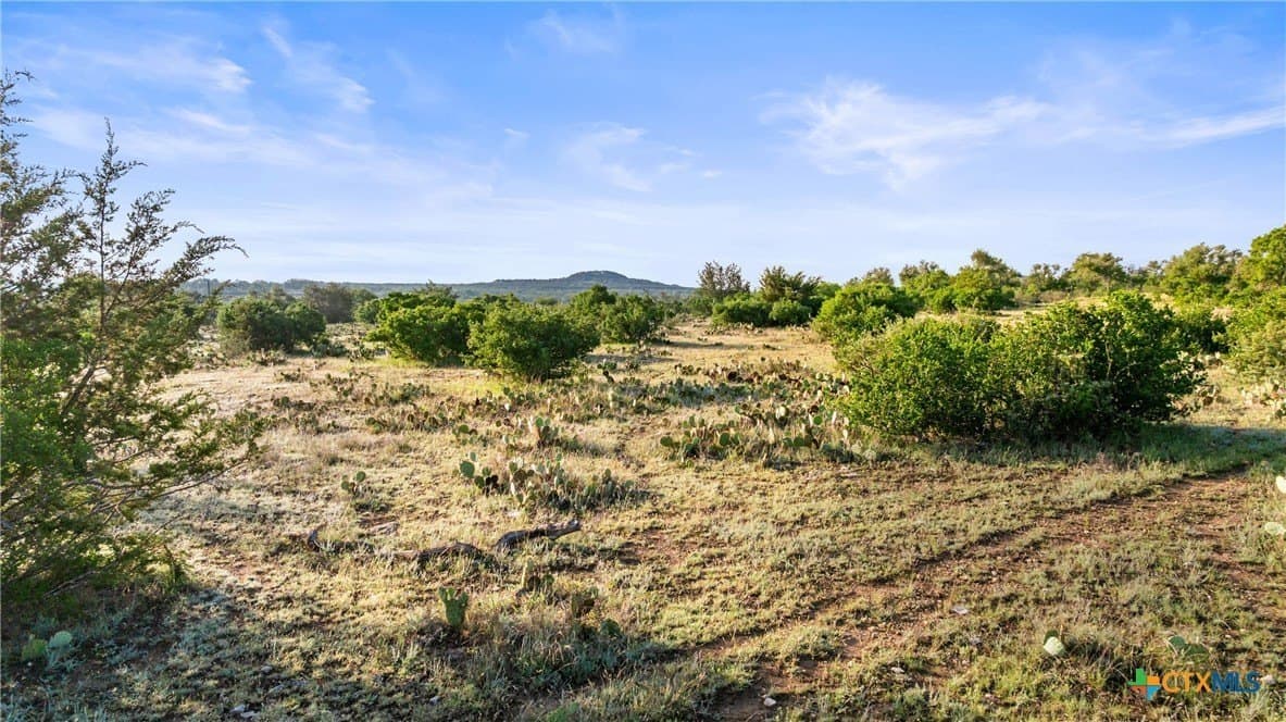 11.01 acres in Blanco County - photo 15