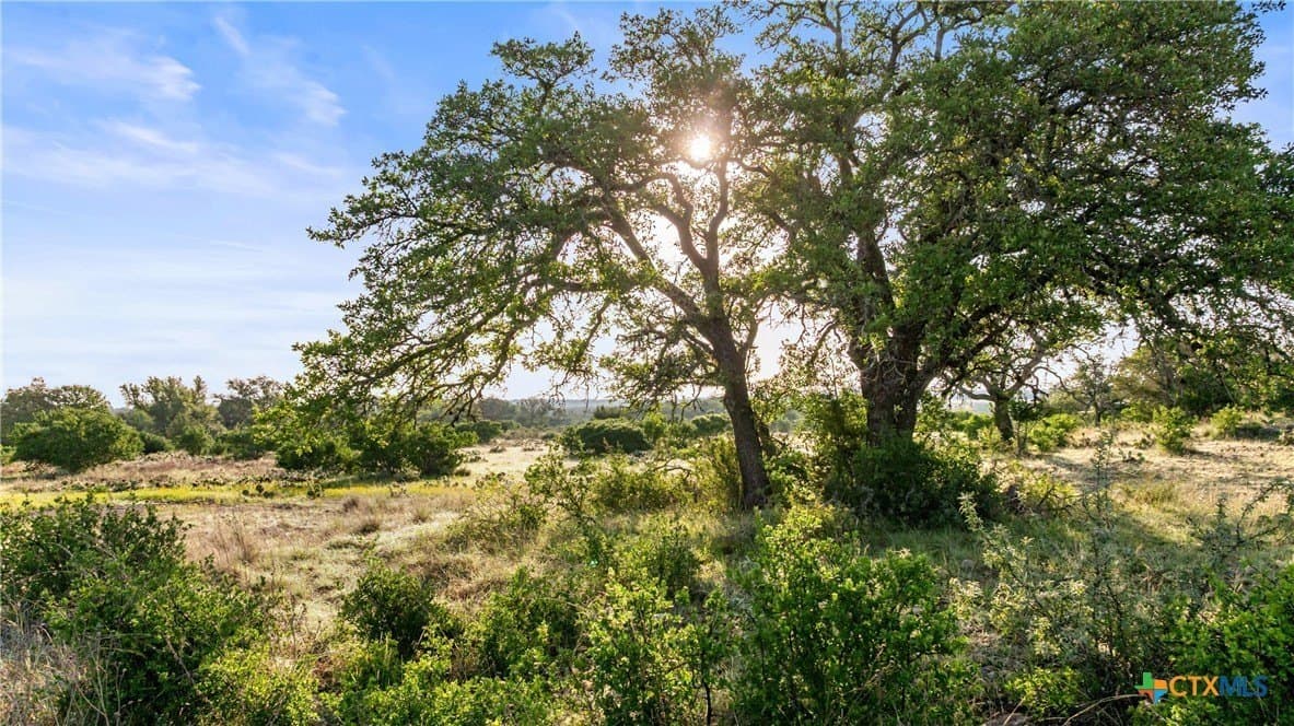 11.01 acres in Blanco County - photo 19