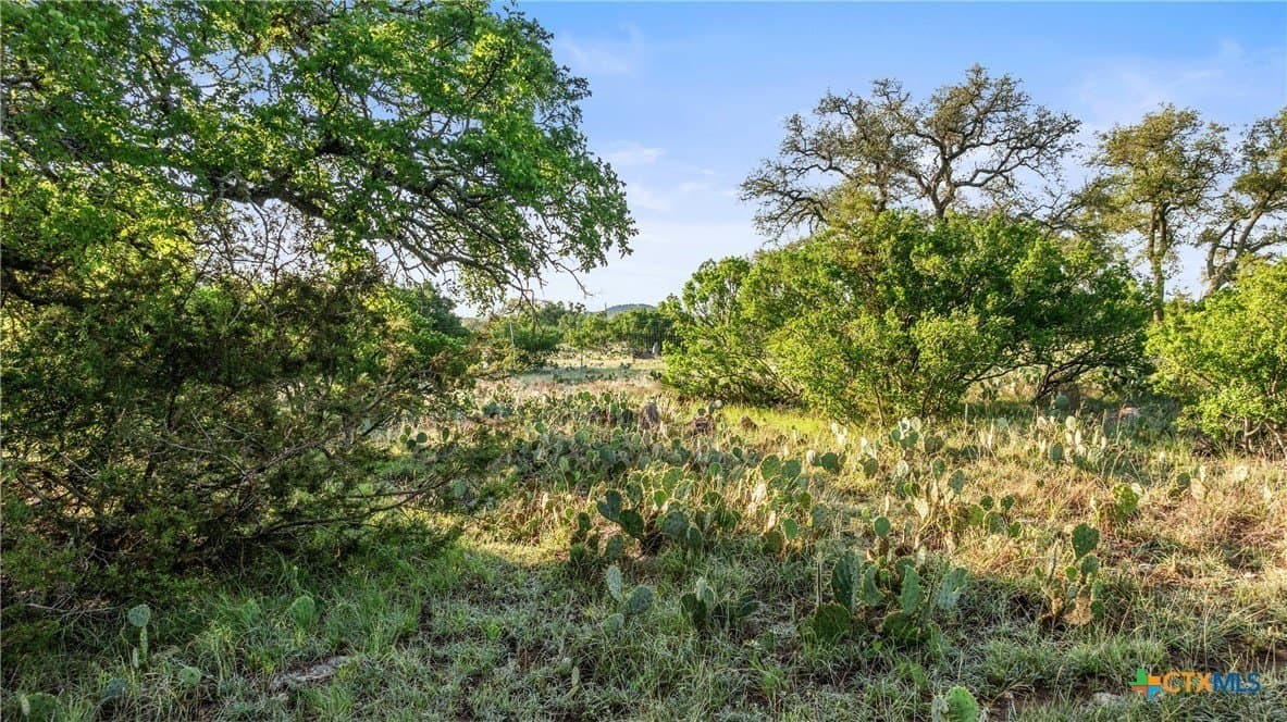 11.01 acres in Blanco County - photo 24