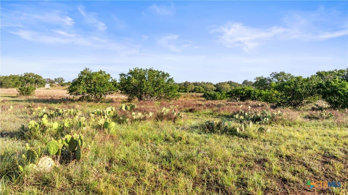 11.01 acres in Blanco County - photo 18