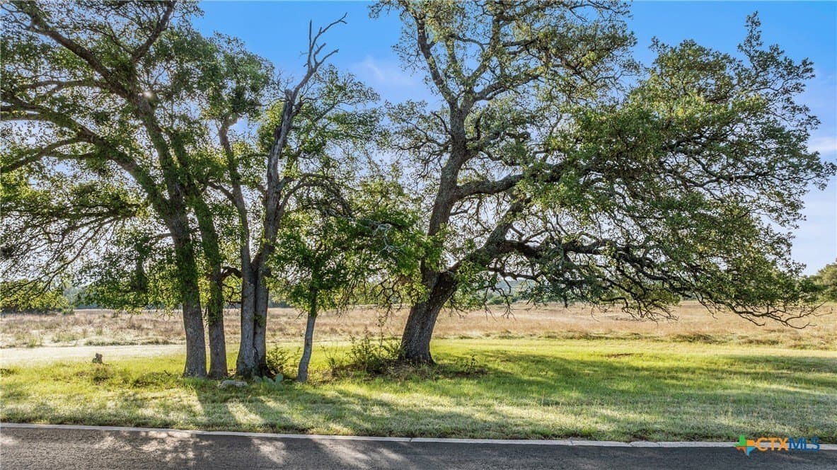 11.01 acres in Blanco County - photo 8