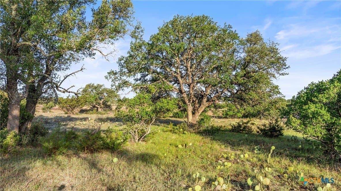 11.01 acres in Blanco County - photo 23
