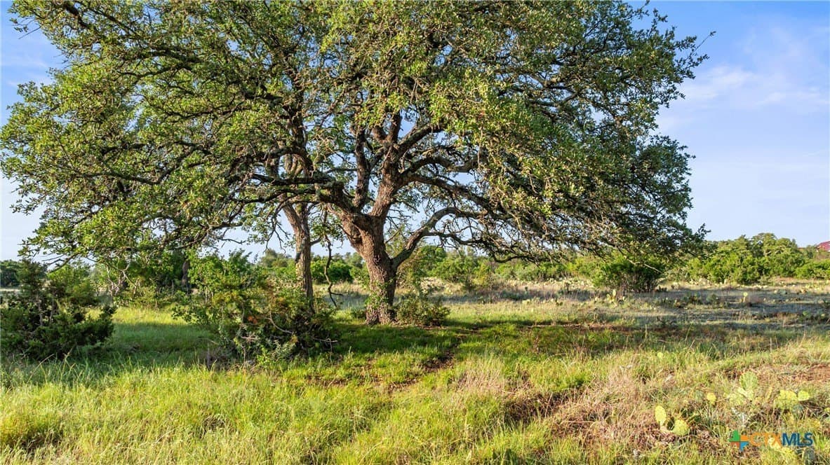 11.01 acres in Blanco County - photo 13