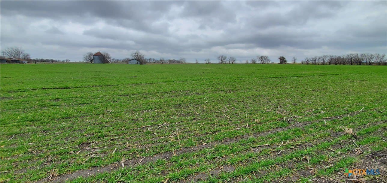 25.38 acres in Bell County - photo 9
