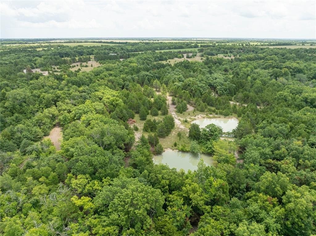 6 acres in Fannin County - photo 11