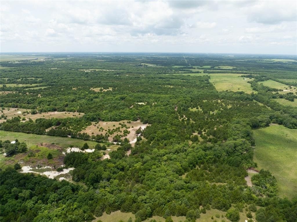 6 acres in Fannin County - photo 8